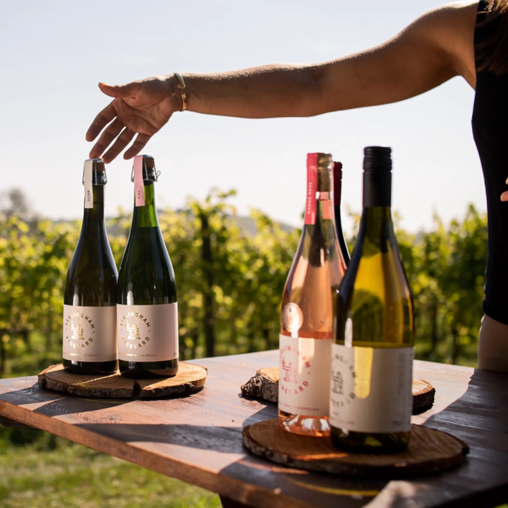 Three Terlingham bottles standing between vine rows